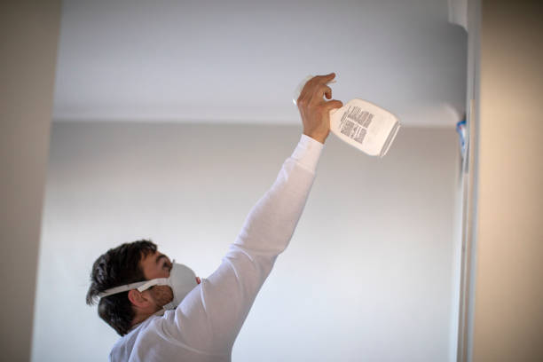 Best Commercial Mold Removal  in Gladewater, TX