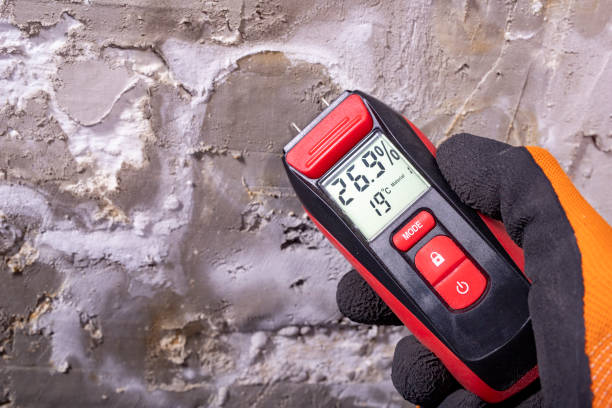 Best Local Mold Removal Service  in Gladewater, TX